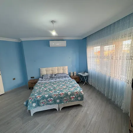 Vilă Asena